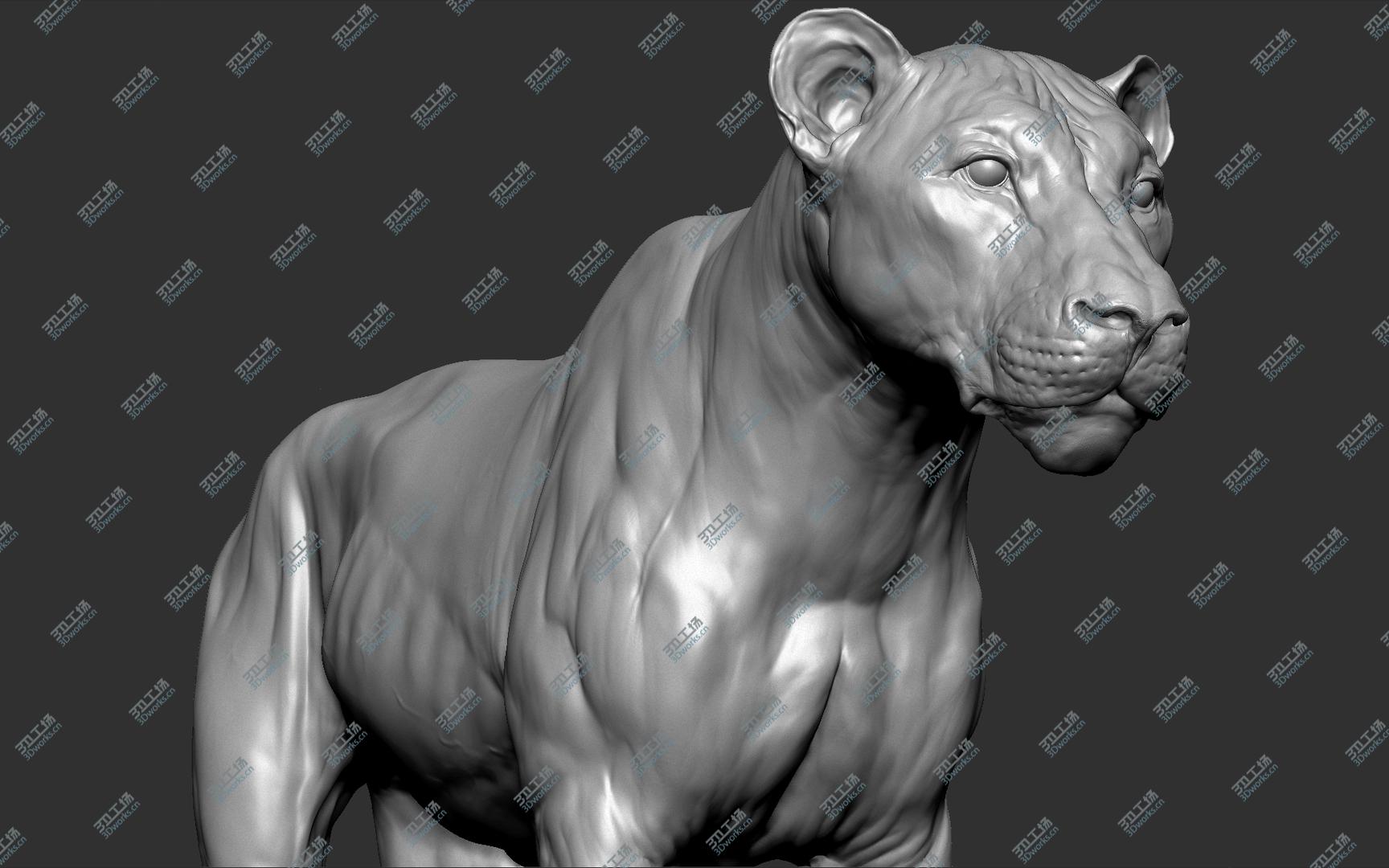images/goods_img/2021040161/3D model Lion (Big Cat) VFX Zbrush Sculpt/2.jpg